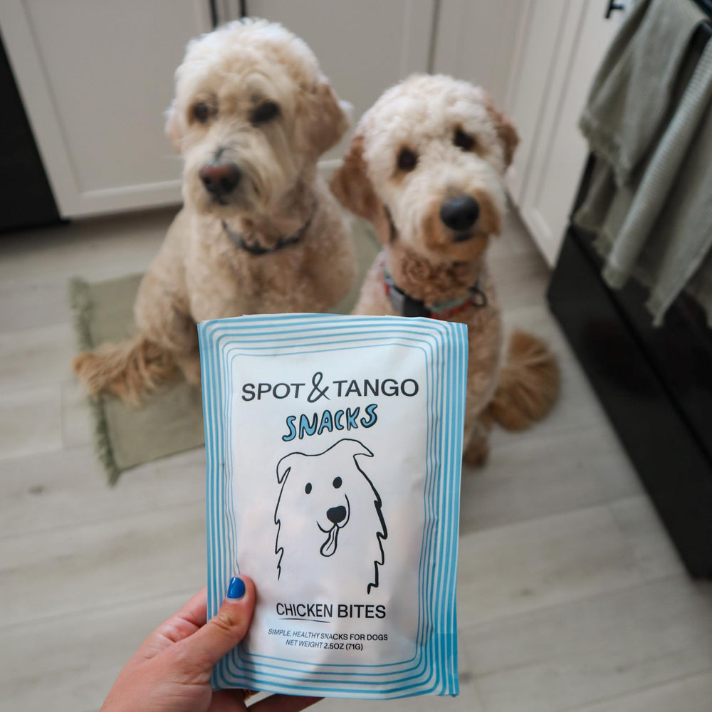 Spot & Tango Bouchées pour chiens de toutes tailles, faciles à mâcher.