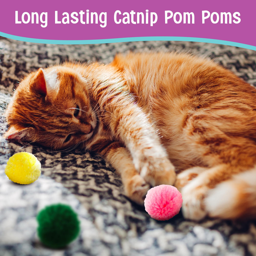 SPOT Wool Pom Poms: perfectas para ejercicio físico y agilidad felina