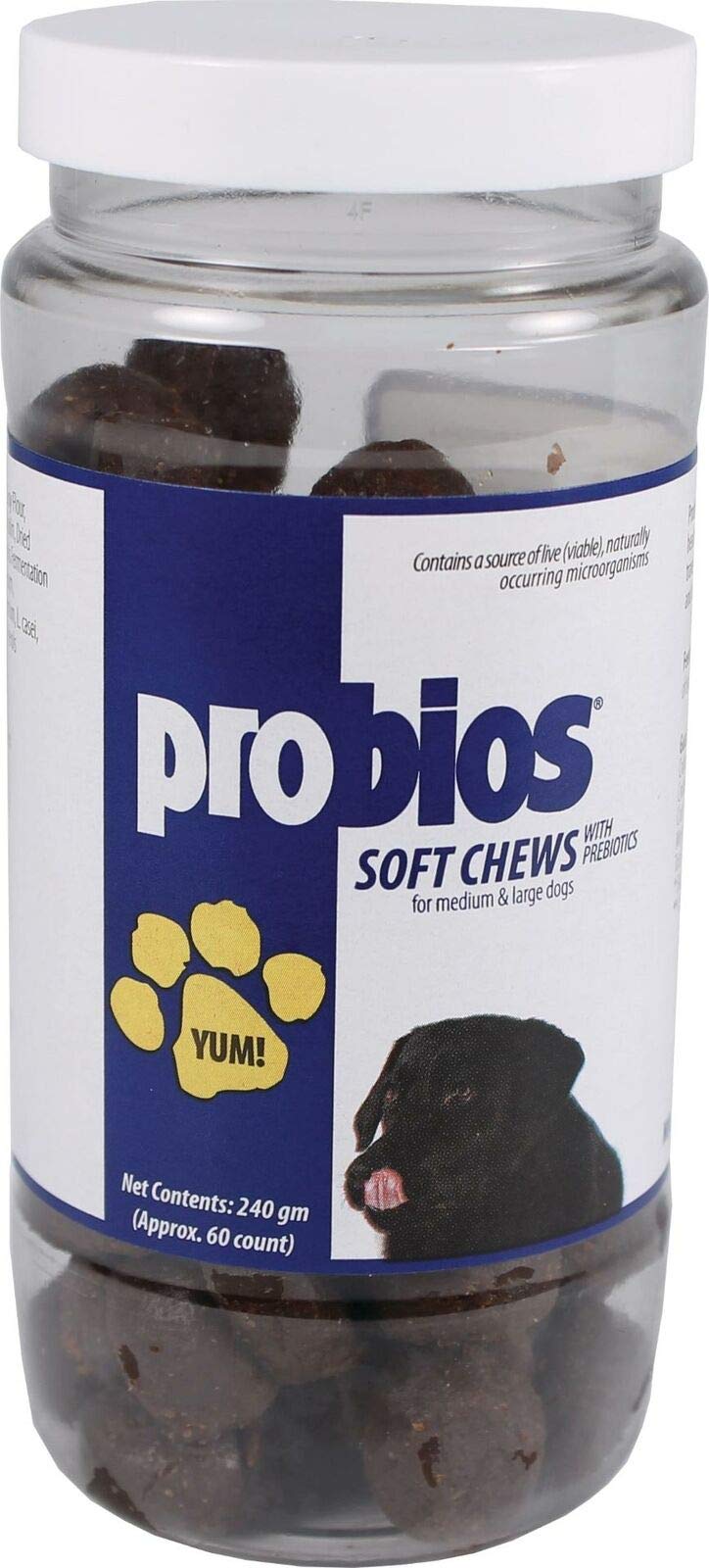 Spriek Canine Probios Soft Chews para perros medianos y grandes, apoyo digestivo suave y sabroso.