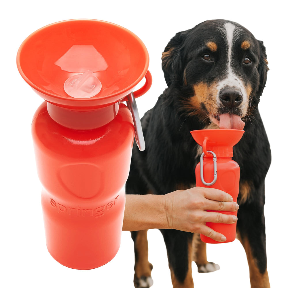 Springer-botella-agua-perro-22oz ofrece hidratación rápida durante paseos.
