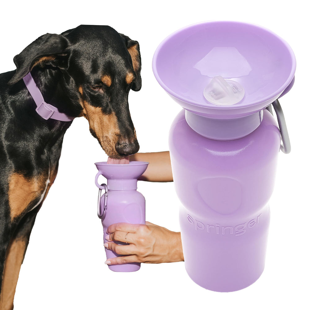 Springer botella-agua-perro-22oz con dispensador, práctico para paseos.