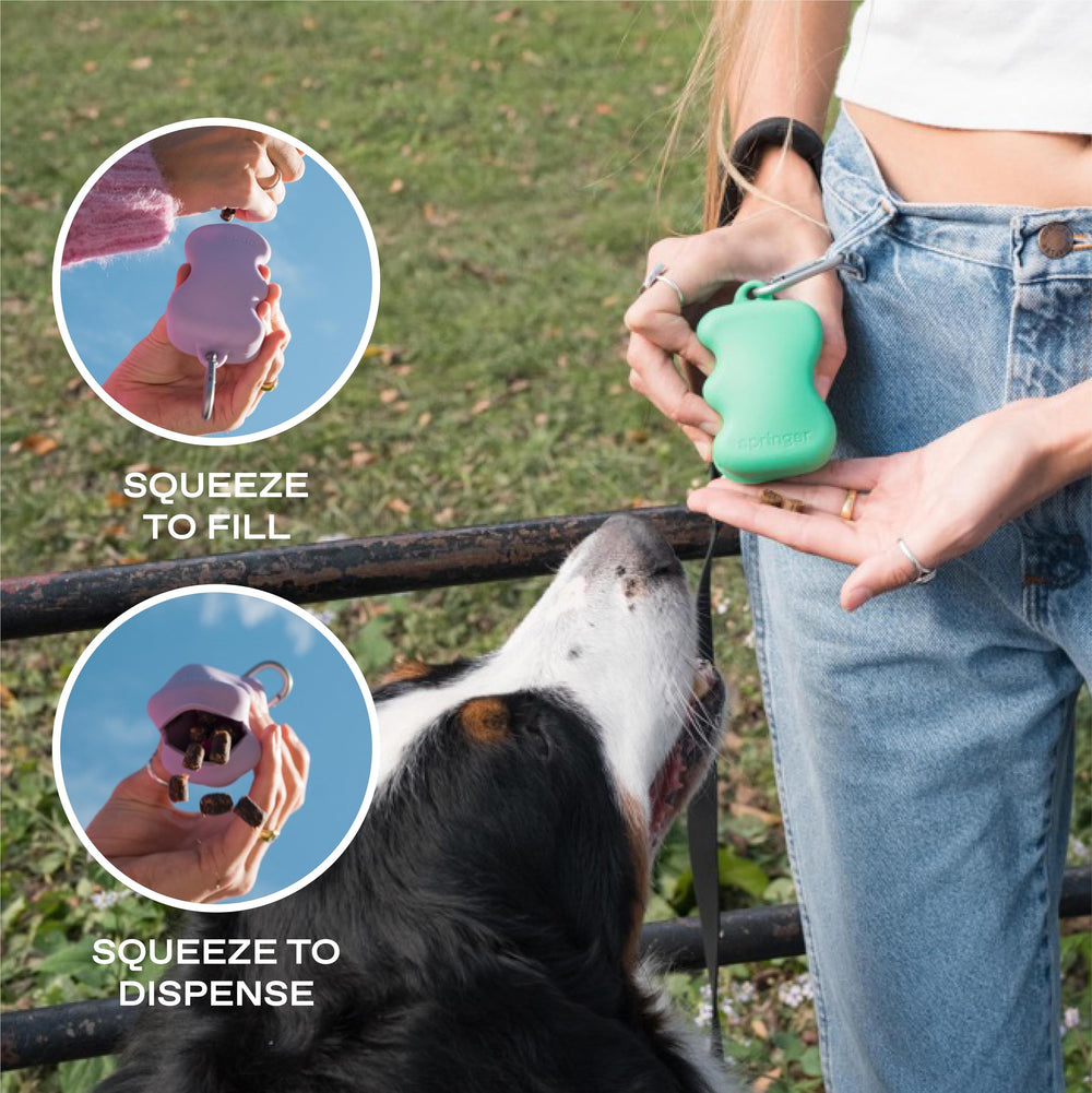 Springer ideal para paseos y entrenamientos en movimiento.