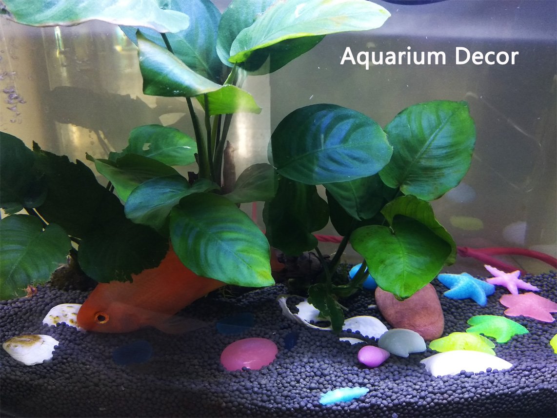 SpringSmart rocas de acuario concha azul, iluminación nocturna atractiva para peceras