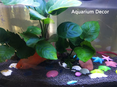 SpringSmart rocas de acuario concha azul, iluminación nocturna atractiva para peceras
