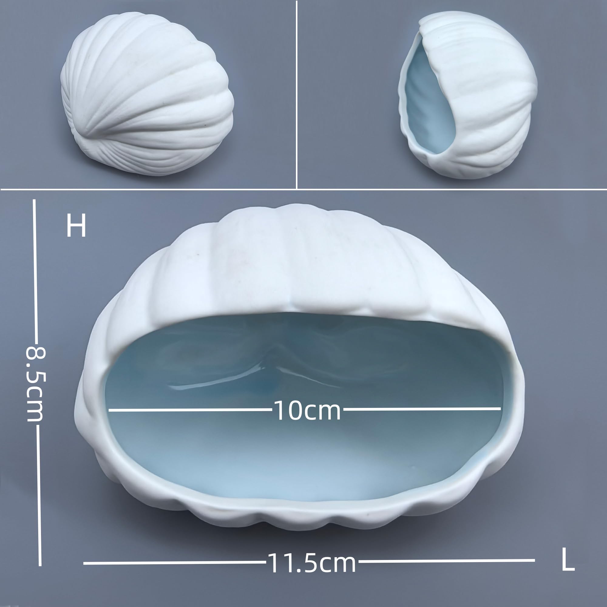SpringSmart Conjunto de Decoración Oceánica: añade color y textura al acuario.