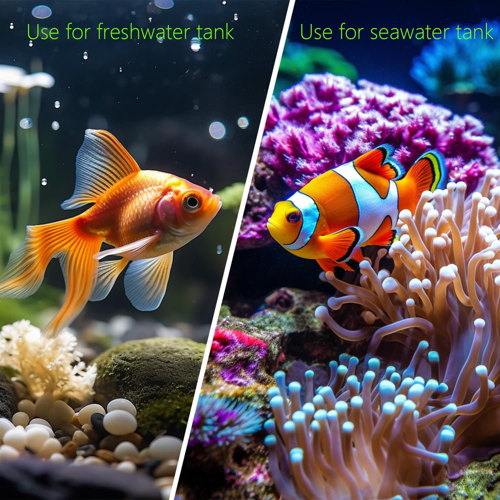 SpringSmart regalo ideal para acuario, Navidad o cumpleaños