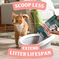 Sprinkle & Sweep fórmula sin tóxicos, opción segura para gatitos.