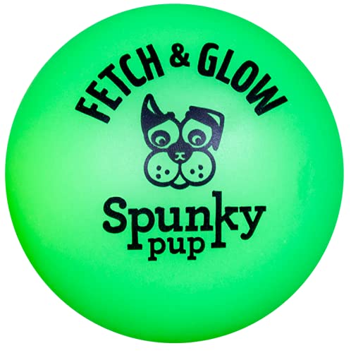 Spunky Pup Fetch and Glow Ball grande, colores variados, fácil de ubicar en campo o jardín