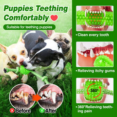 SQBG mordedor durable para perros agresivos, ideal para quemar energía y distraer.