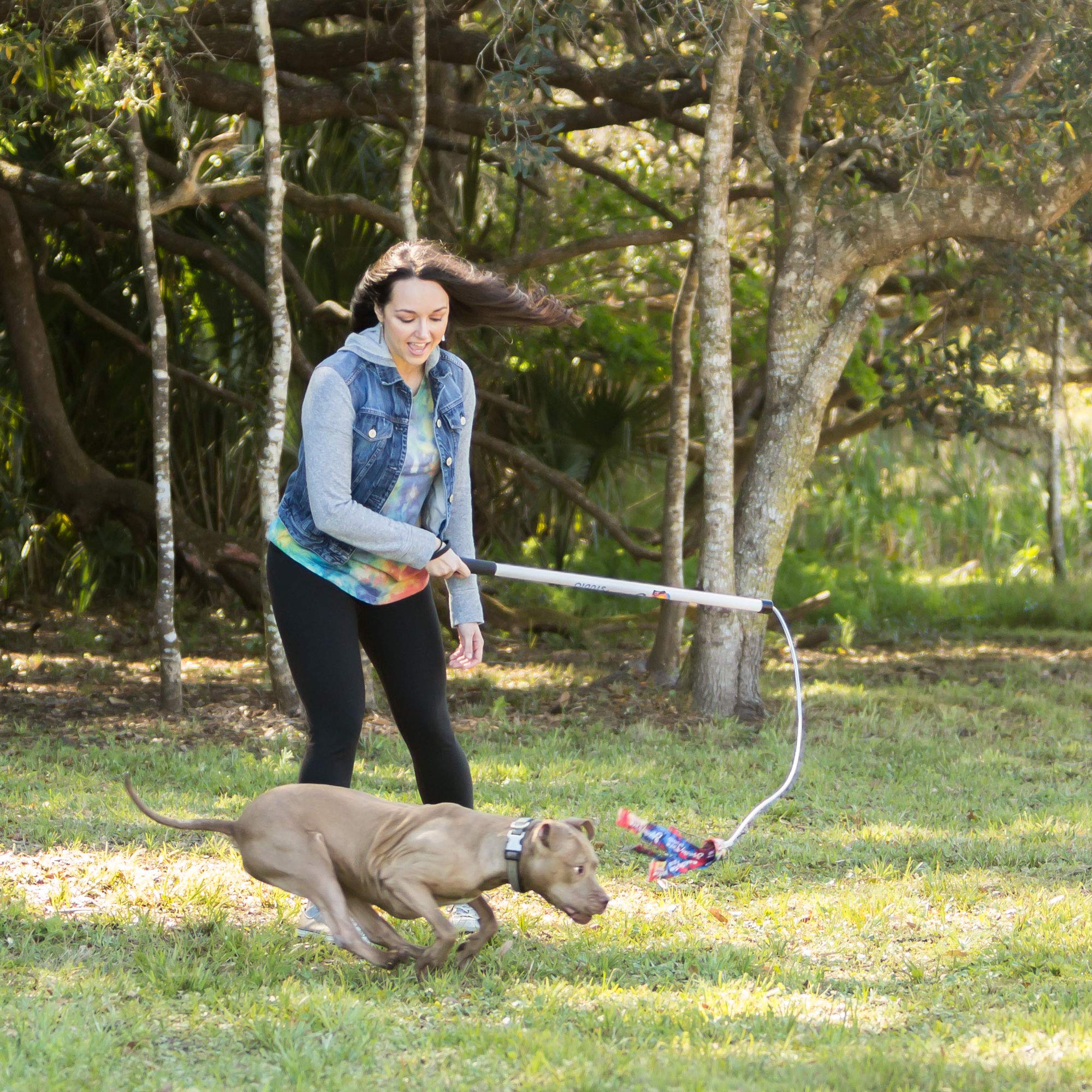Flirt Pole V2 de 36 pulgadas facilitando entrenamiento de perros en patio o casa.