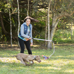 Flirt Pole V2 de 36 pulgadas facilitando entrenamiento de perros en patio o casa.