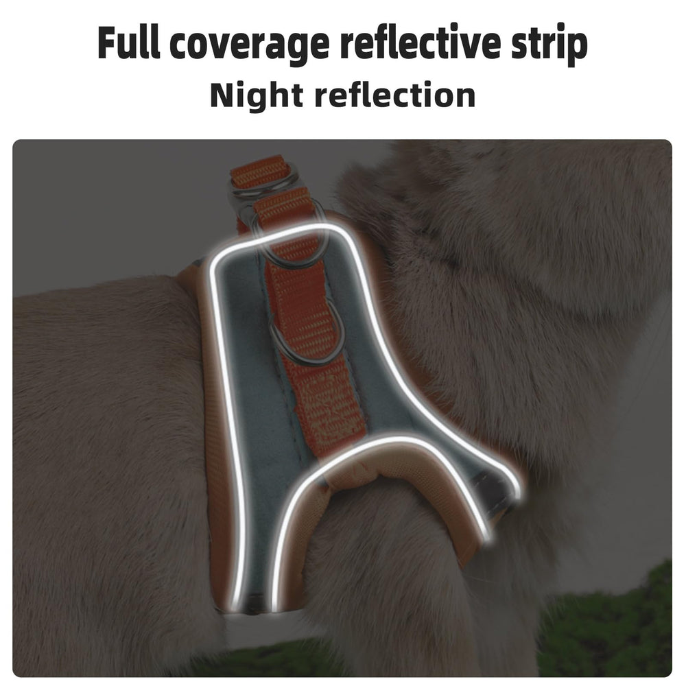 SQUSIMEI arnés conejo con doble hebilla para mayor seguridad