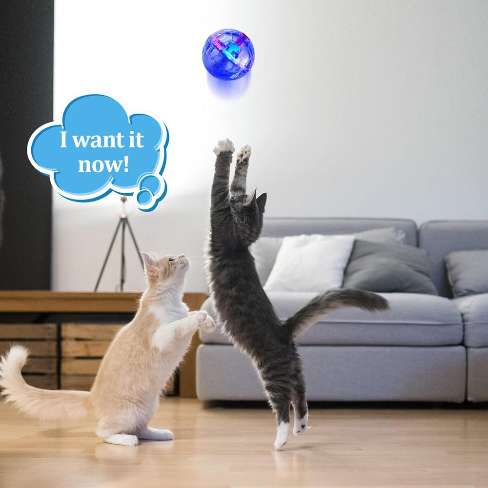 Bola Sratte tamaño 3-4 cm para gatos activos.