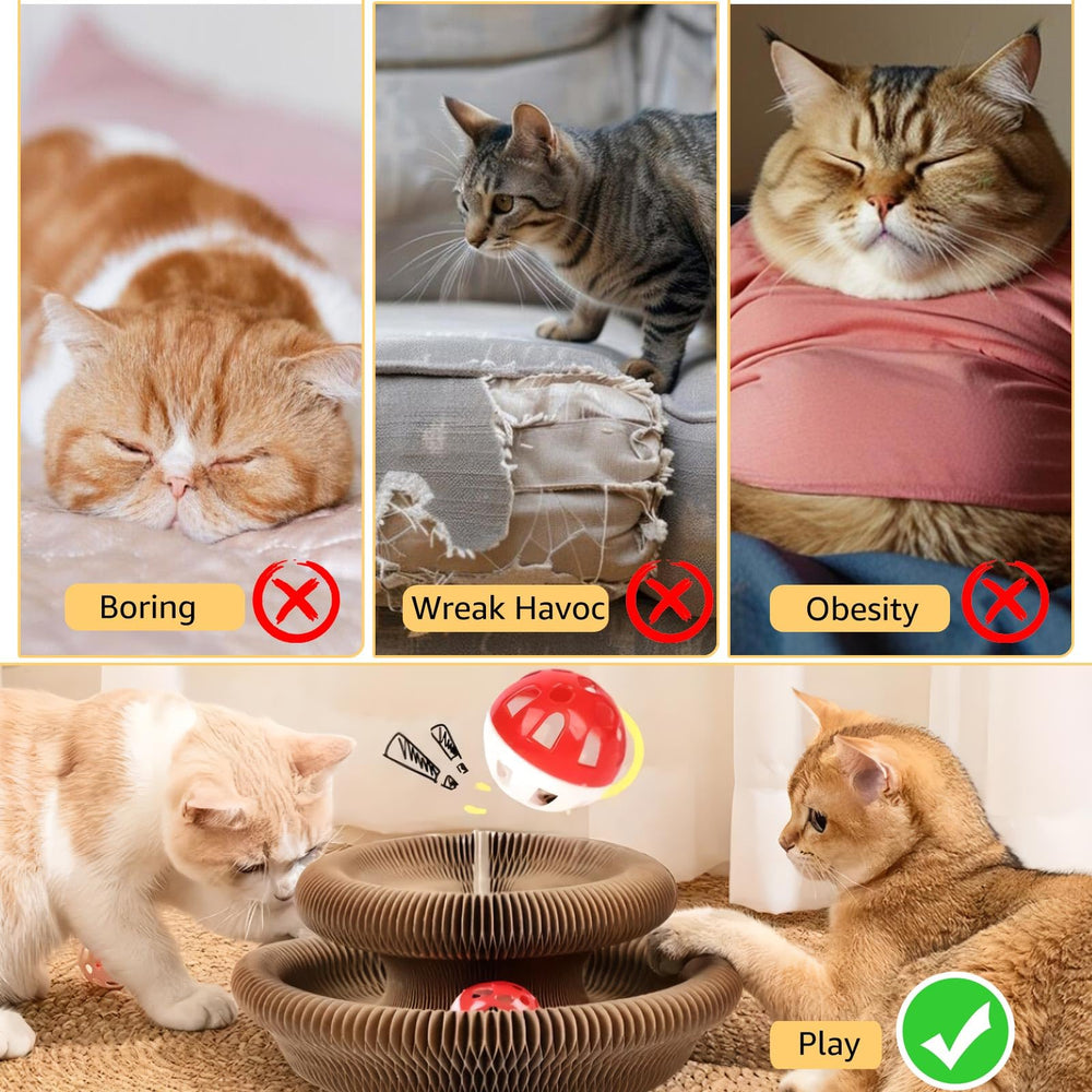 SREBAY Diseño magnético reconfigurable para formas, atrayendo al gato.