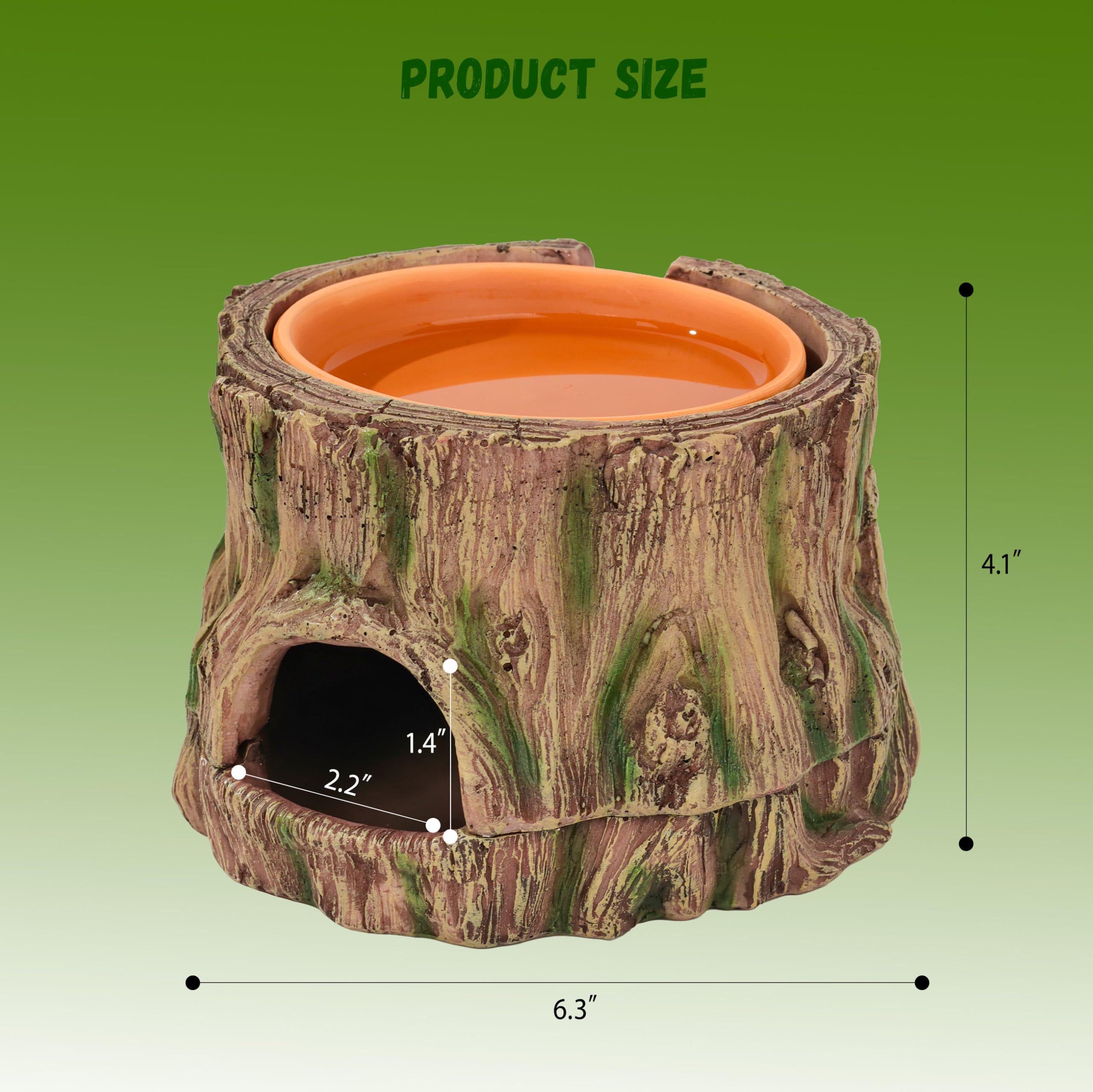 Stackoria cueva con raíces naturales para exploración segura.