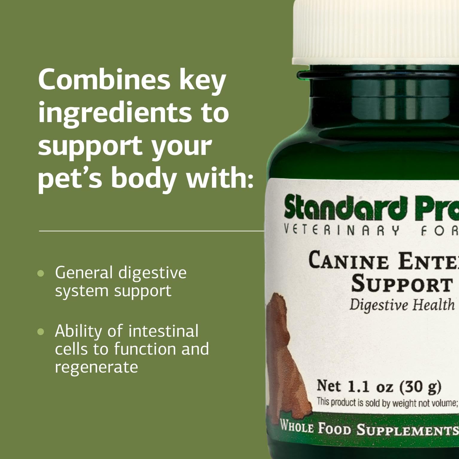 Standard Process Canine Enteric Support con scoop de medición facilita dosis seguras para perros