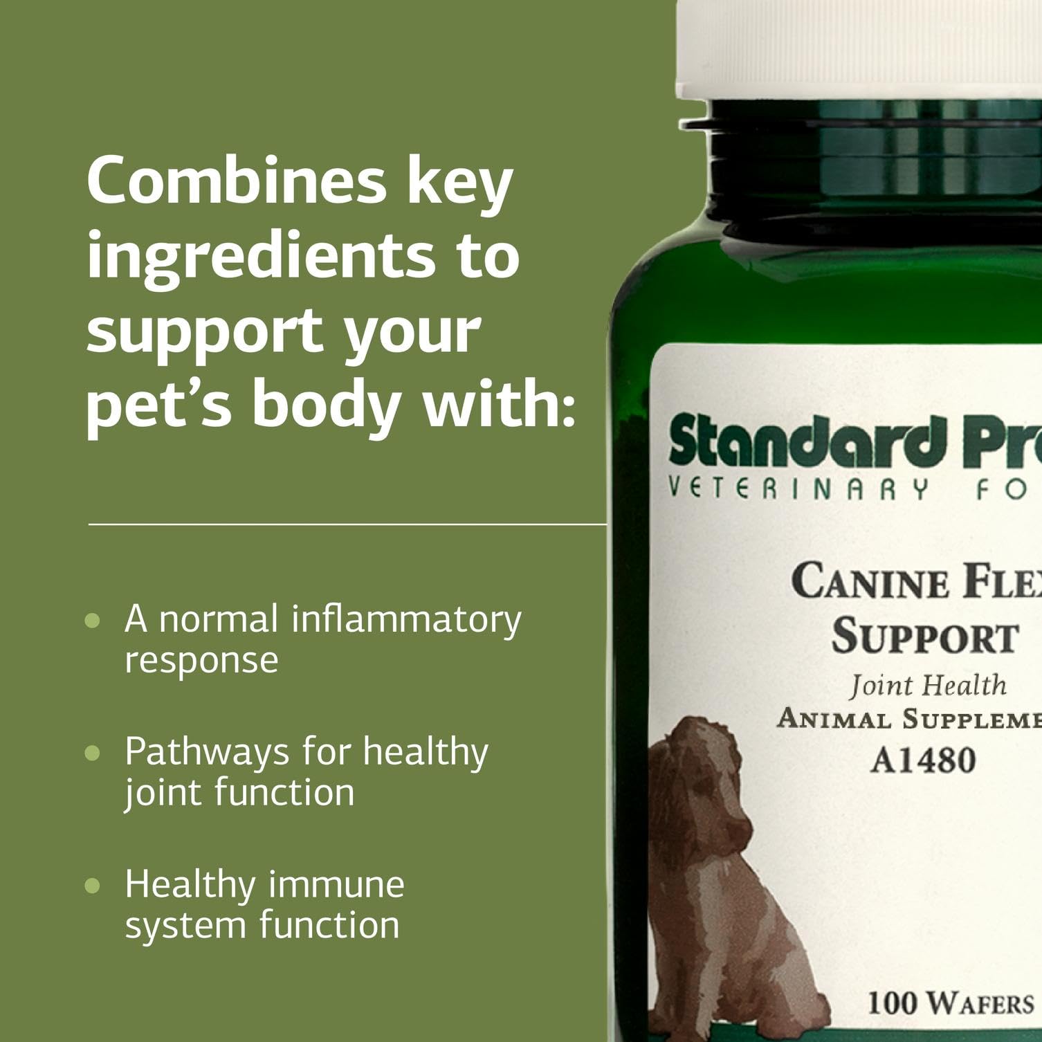 Standard Process Canine Flex Support complemento inmunidad, antioxidantes para perros activos.