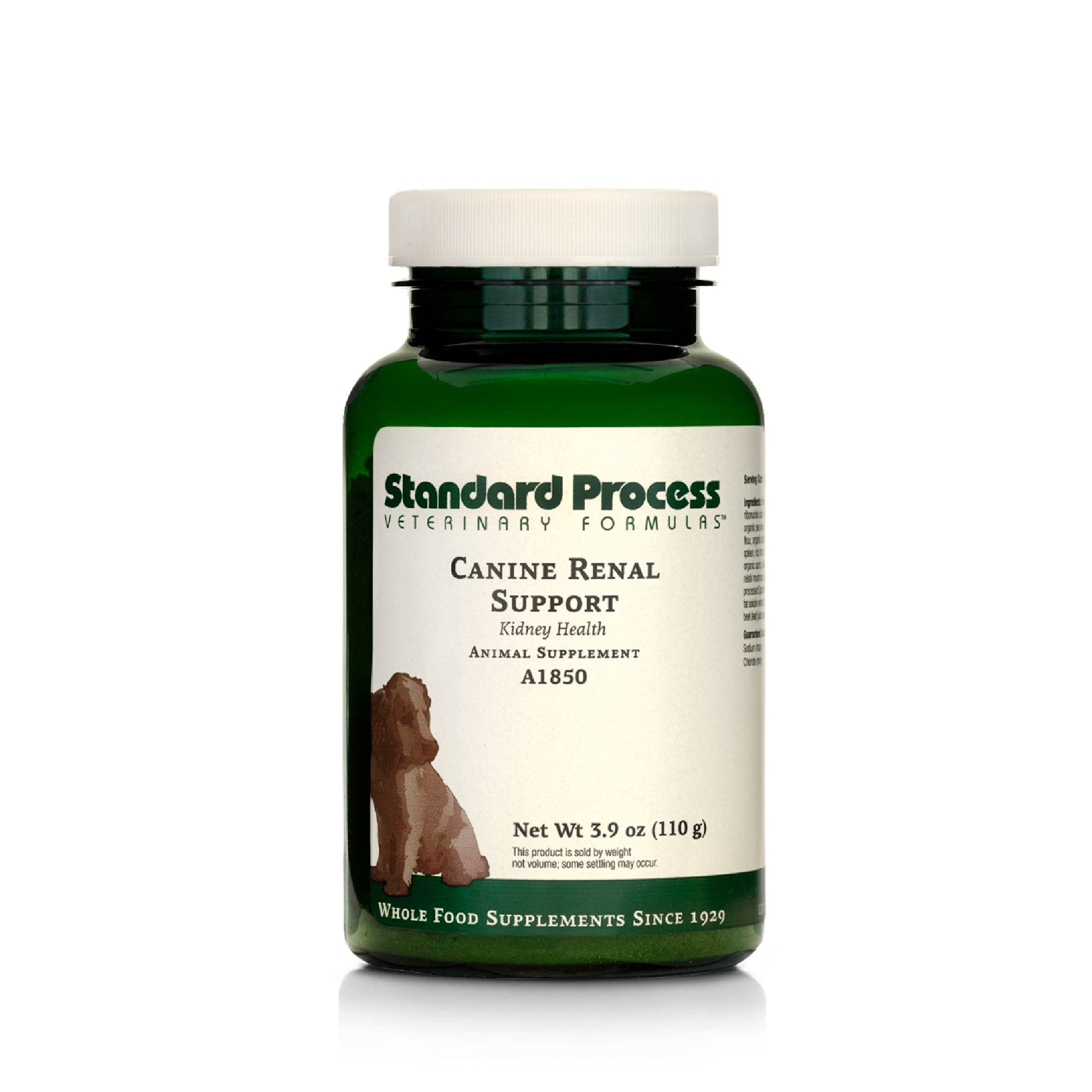 Standard Process Canine Renal Support: botella, apoyo renal para perros y nutrición equilibrada.