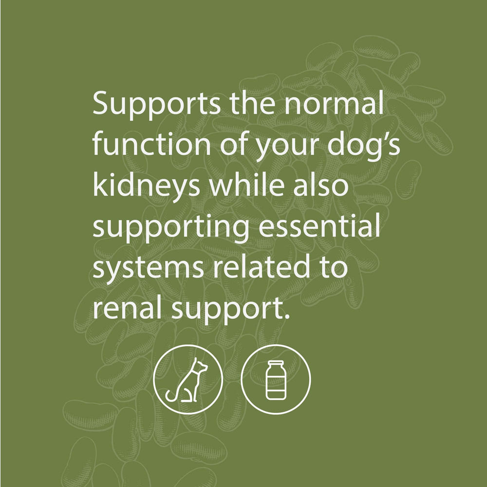 Standard Process Canine Renal Support, polvo suave para mezclar con comida y apoyar funciones renal.