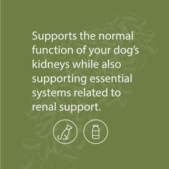 Standard Process Canine Renal Support, polvo suave para mezclar con comida y apoyar funciones renal.