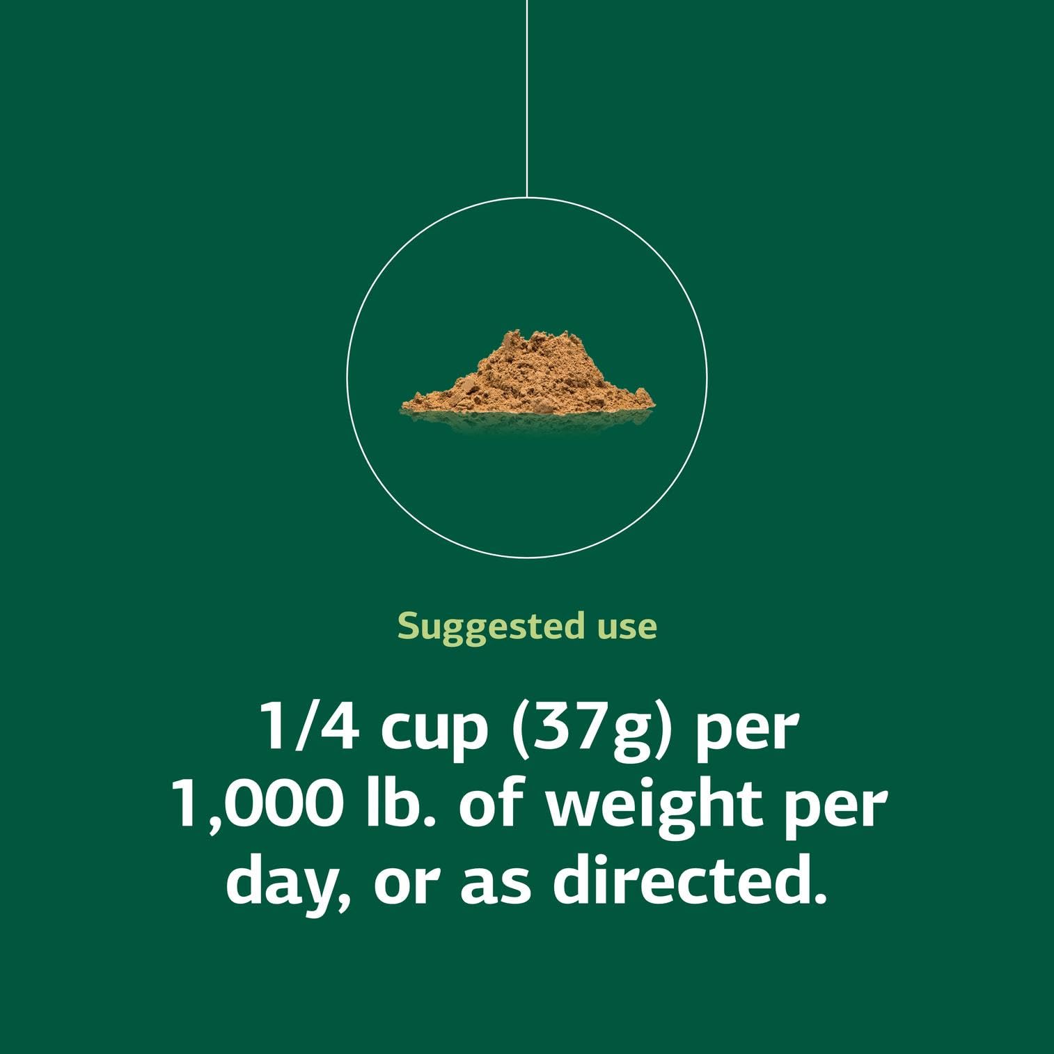 Standard Process Equine Metabolic Support extracto de té verde para apoyo antioxidante