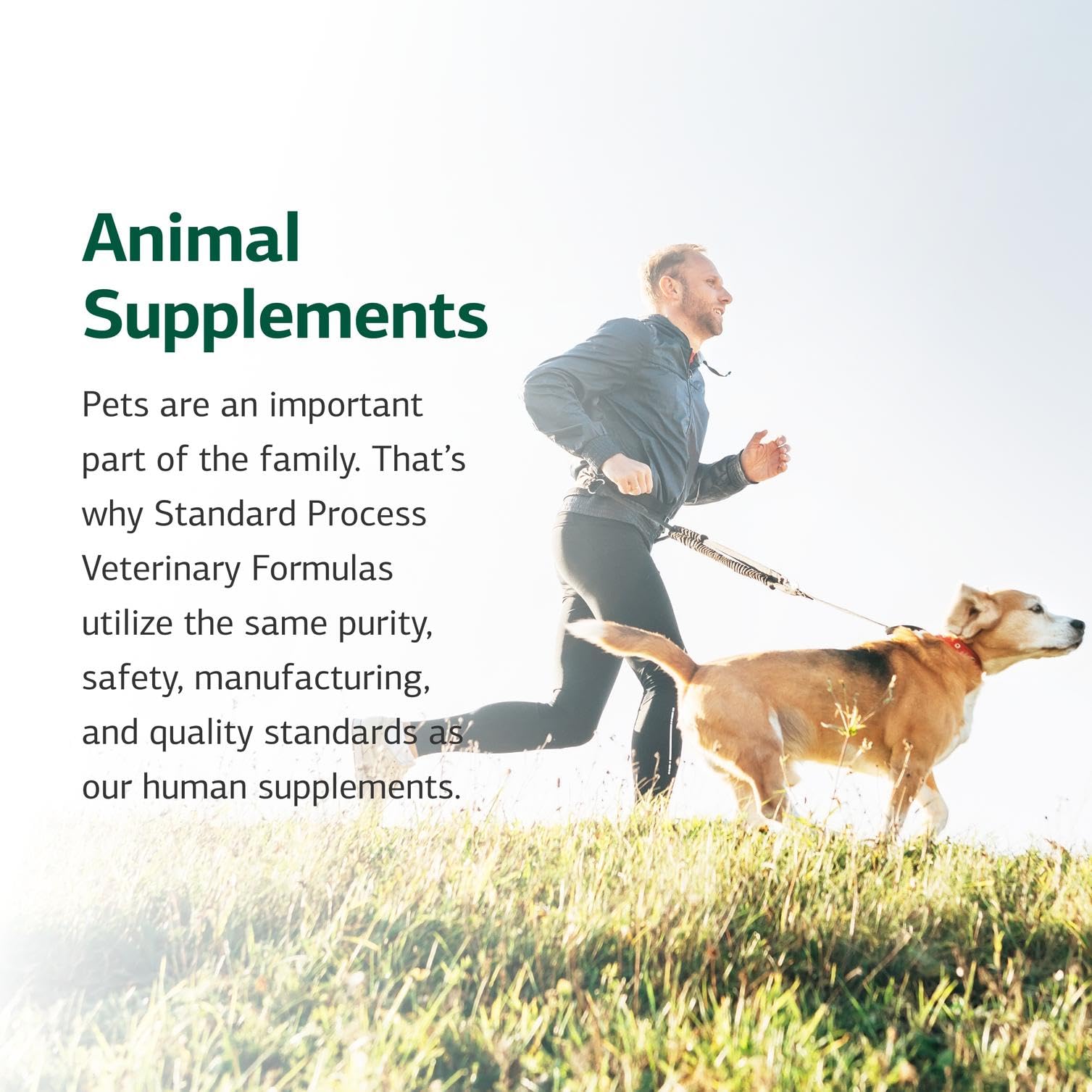 Standard Process Inc. canino uso-diario polvo: conveniente apoyo nutricional.