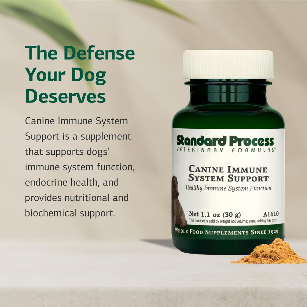 Standard Process Inc. salud endocrina canina polvo: equilibrio para el bienestar.