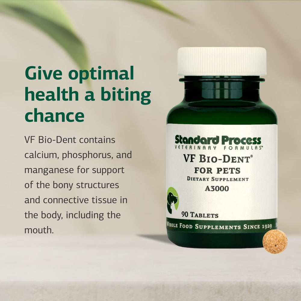 Mascota consumiendo comida con VF Bio-Dent como suplemento
