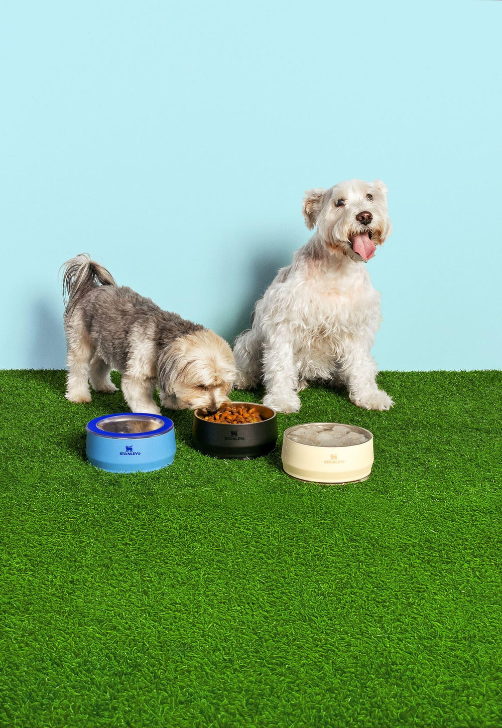 Stanley Pet Bowl compacto y fácil de transportar