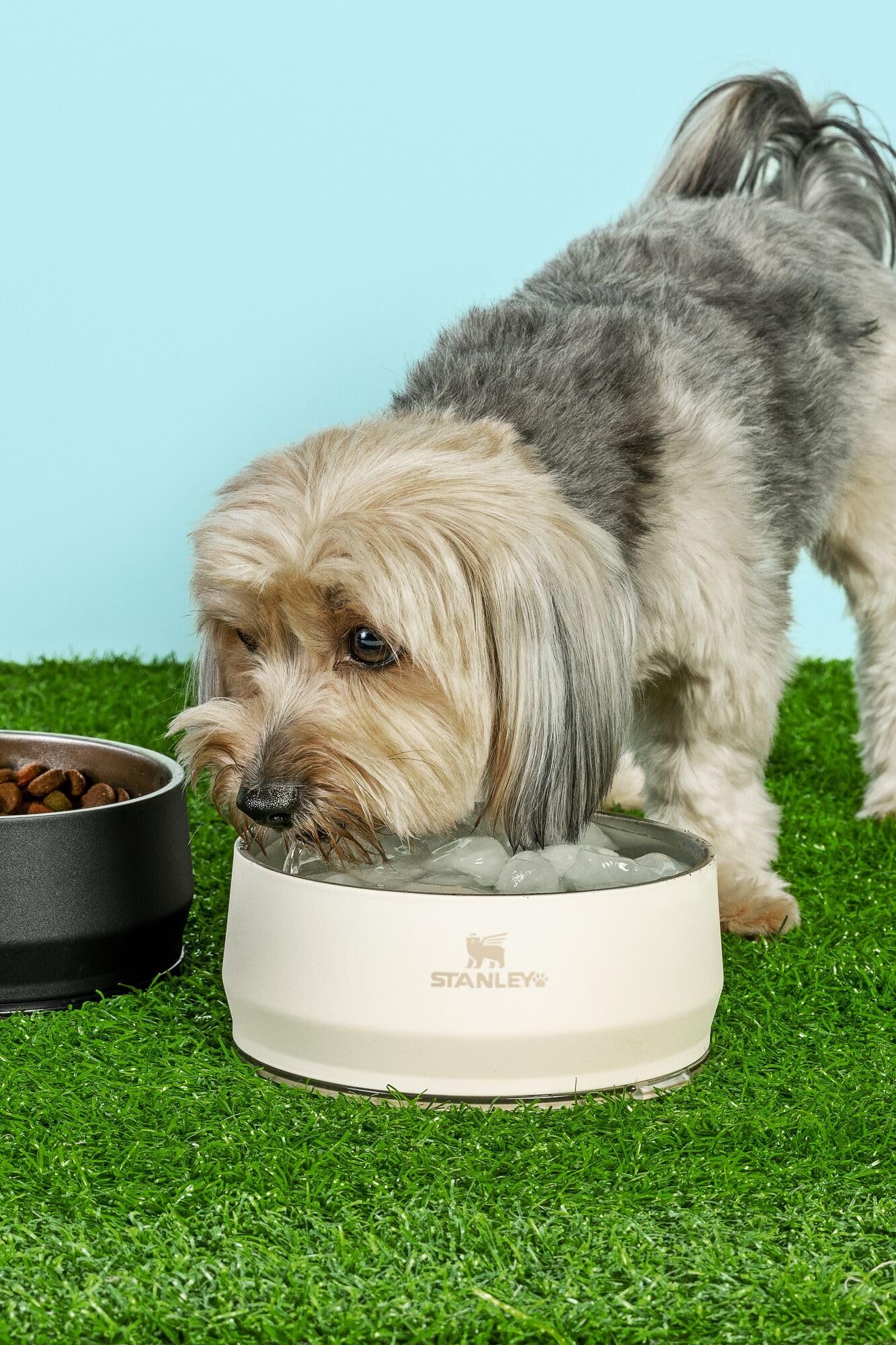 Stanley Pet Bowl doble aislada mantiene agua y comida frescas