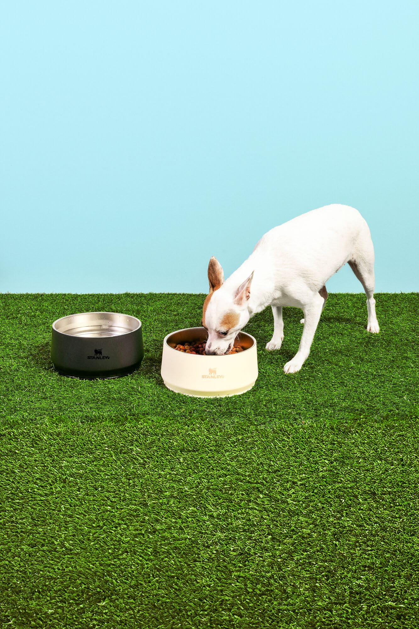Stanley Pet Bowl tapa encajable para transporte limpio