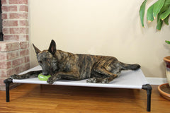 Starmark Dog Zone XL facilita entrenamiento de zona para delimitar el espacio.