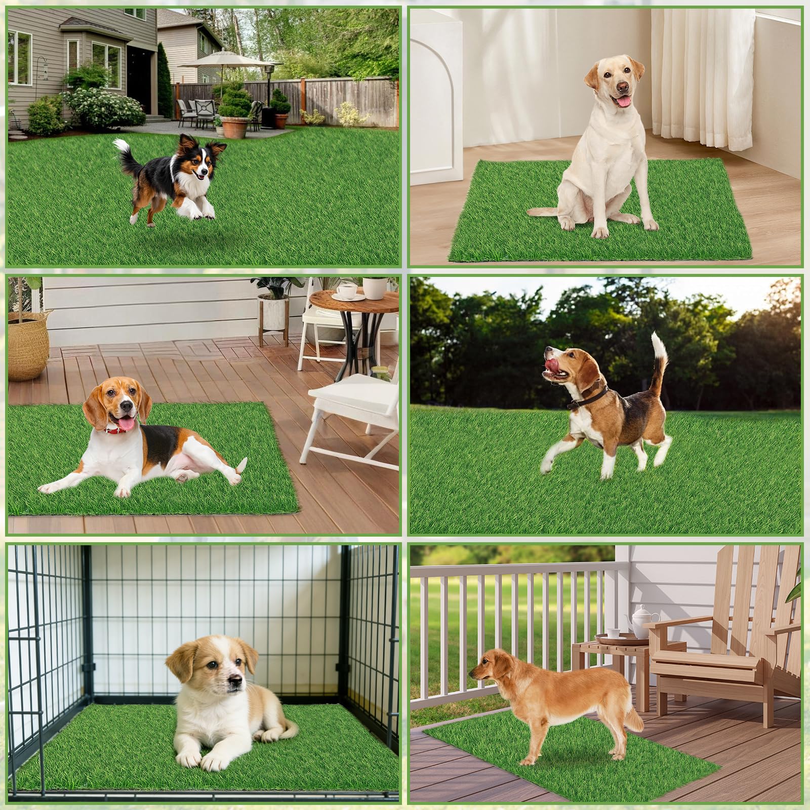 STARROAD-TIM atención al cliente y soporte para césped artificial de perros.