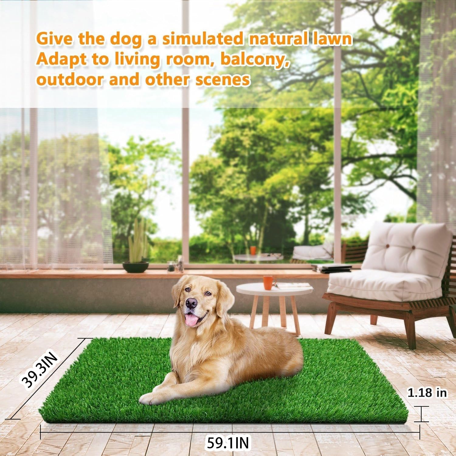 STARROAD-TIM césped artificial para perros en patio, ideal para entrenamiento y descanso.