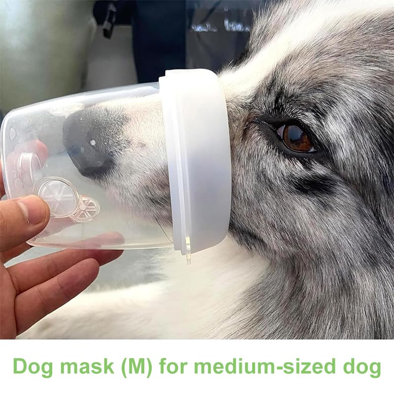 STARSUM conjunto de oxígeno para perro, fácil de usar en casa o rescates.