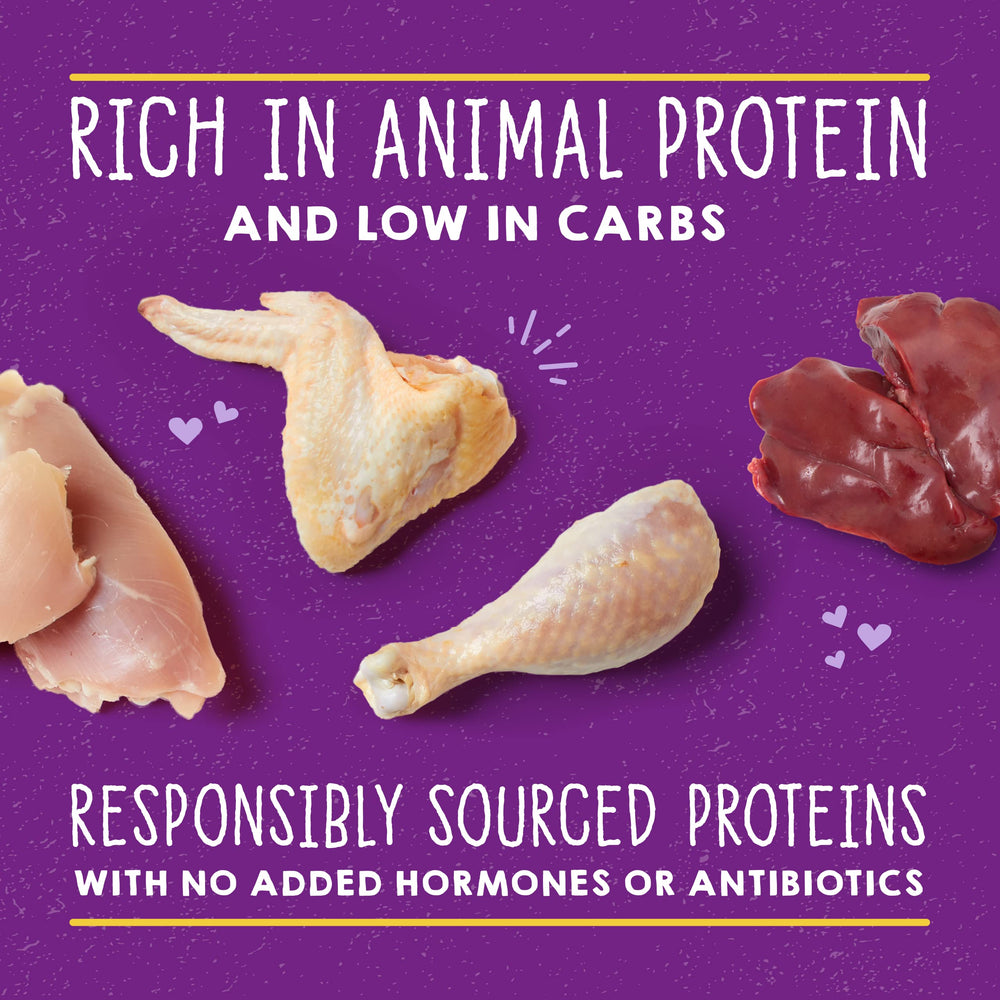 Stella & Chewy's Carnivore Cravings Shreds con textura tierna y apetito felino.