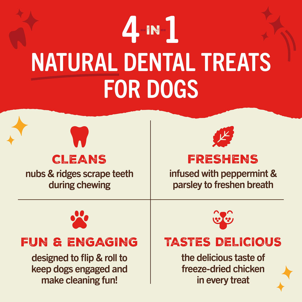 Stella & Chewy's Dental Delights, perro mordiéndolo, favorece la limpieza dental y el gusto.