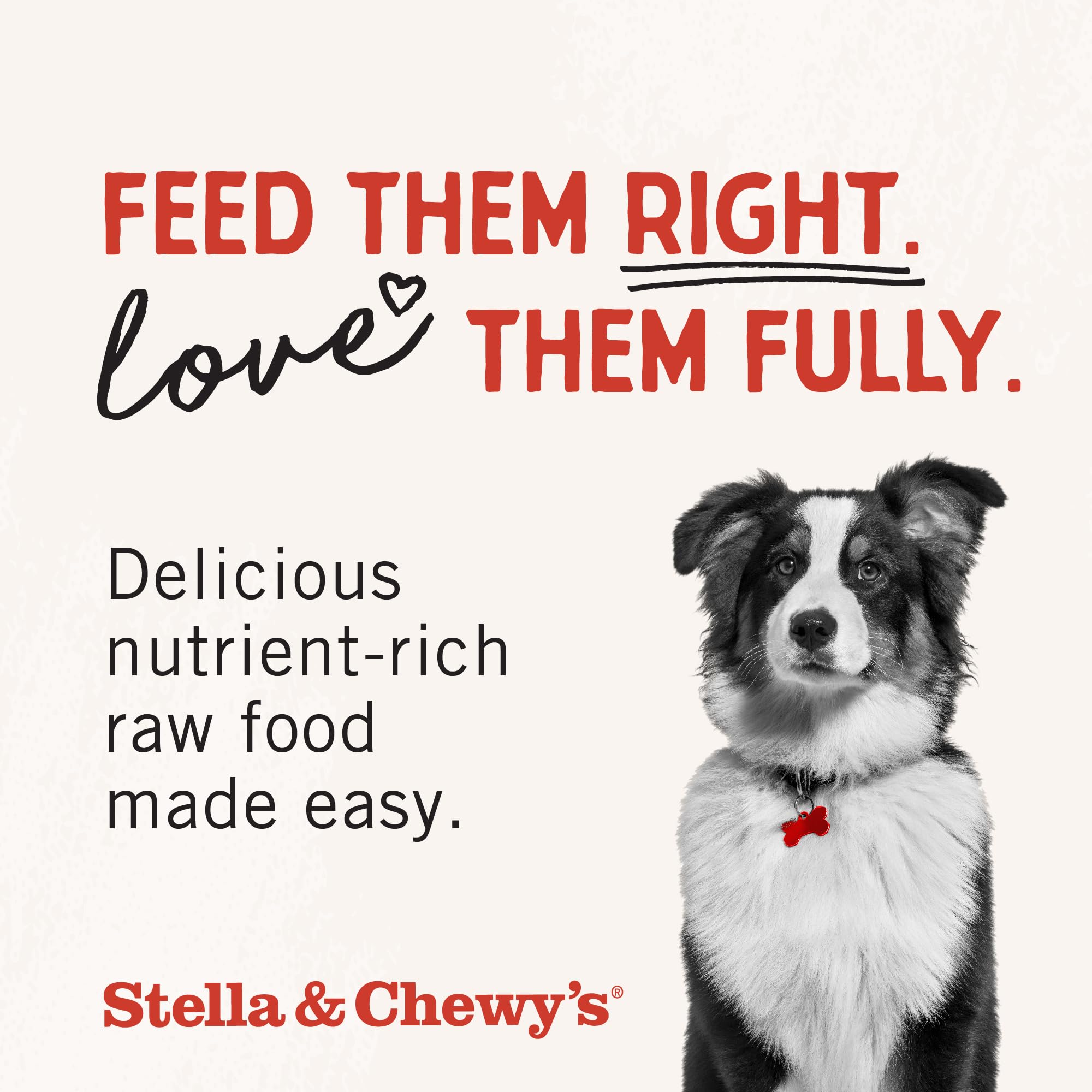 Stella & Chewy's, envase-práctico-3oz, fácil de llevar a paseos.