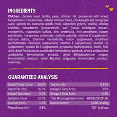 Stella & Chewy's kibble pequeño; ideal para gatitos y adultos con dentición sensible.