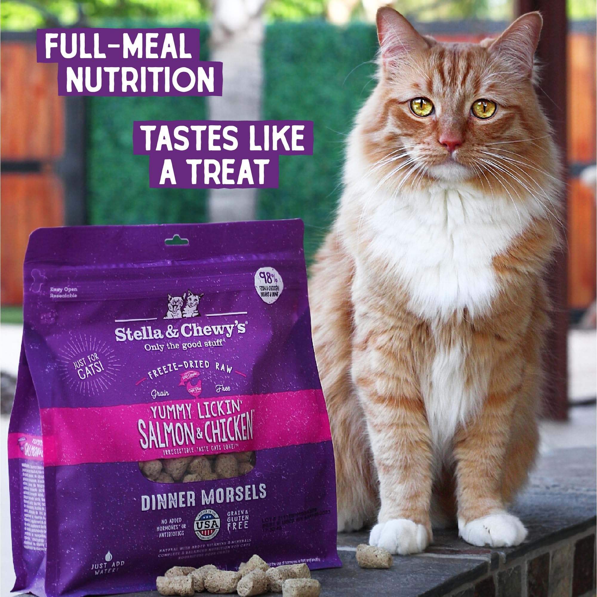Stella & Chewy's menú flexible con salmón y pollo para gatos.