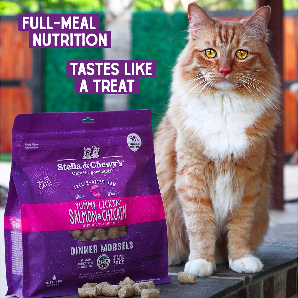 Stella & Chewy's menú flexible con salmón y pollo para gatos.