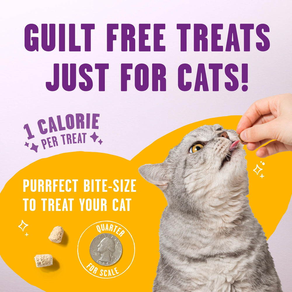 Meowfulls con aceite de salmón para piel y pelaje brillantes.