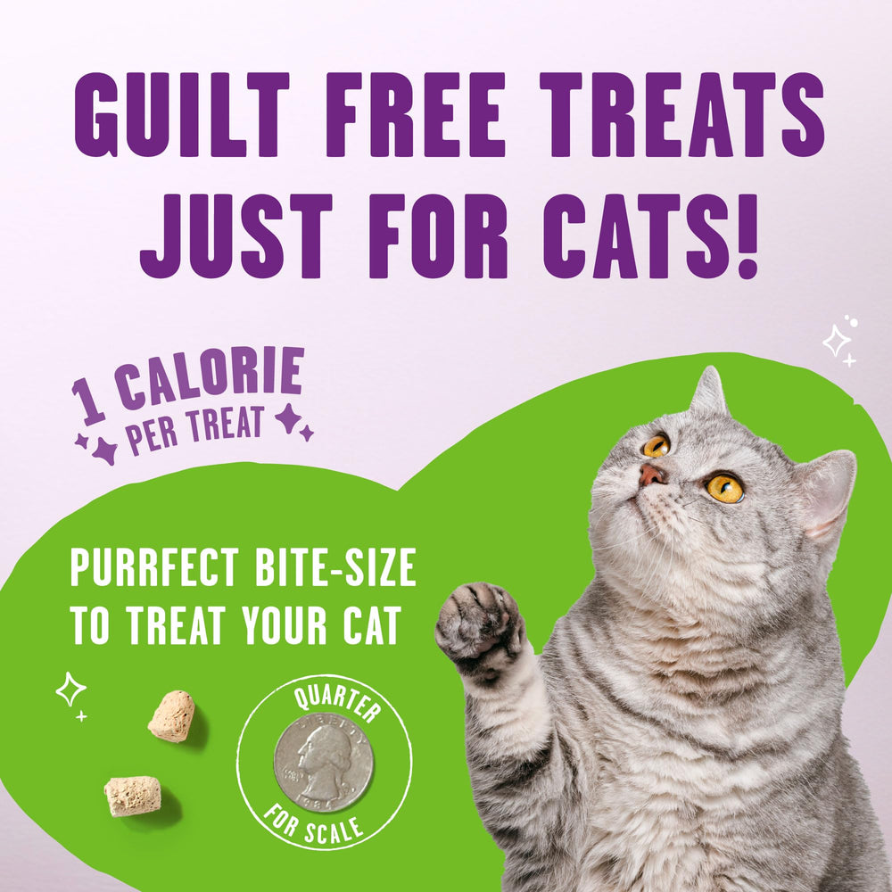 Stella & Chewy's Meowfulls con aceite de salmón para piel y pelaje