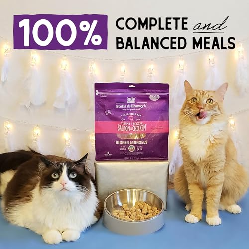 Stella & Chewy's probióticos para digestión con salmón y pollo.