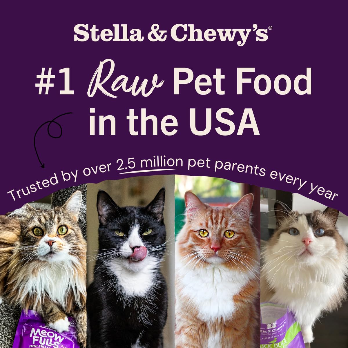 Stella & Chewy's probióticos para digestión saludable.
