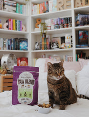 Stella & Chewy's Raw Blend Kibble con piezas crudas congeladas para sabor intenso