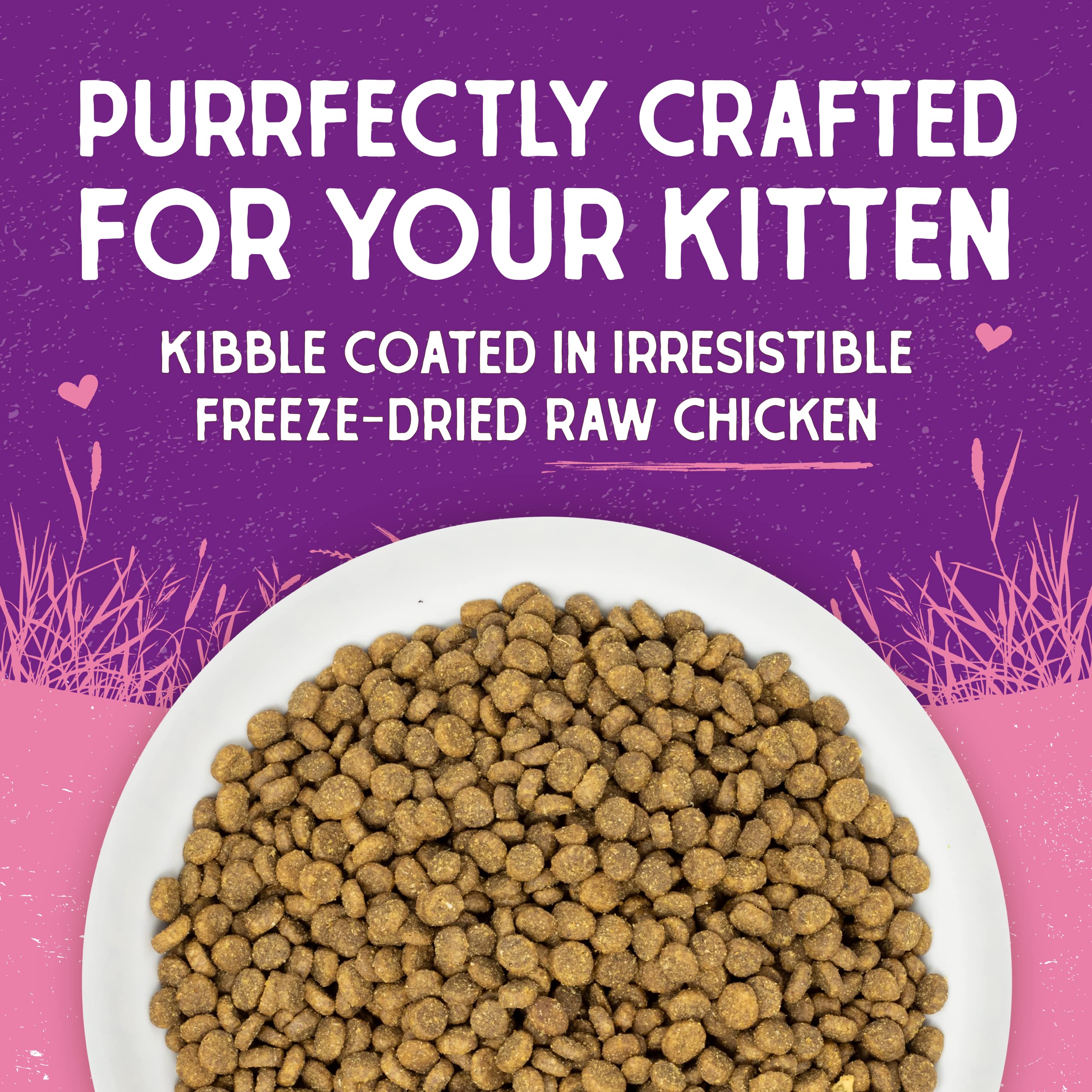 Stella & Chewy's gatito comiendo kibble recubierto crudo.