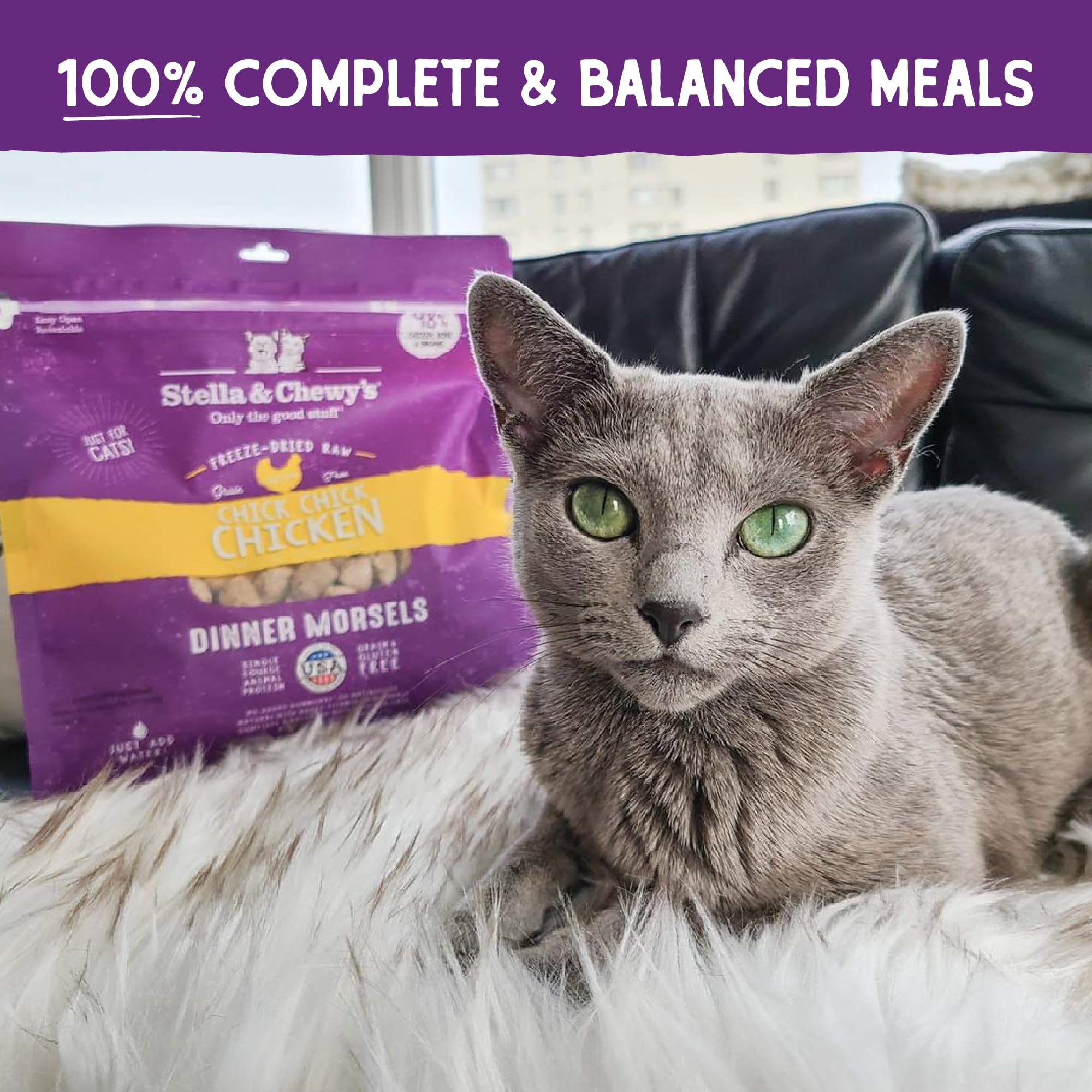 Stella & Chewy's salud-digestiva-probioticos: apoyo suave para la microbiota intestinal.