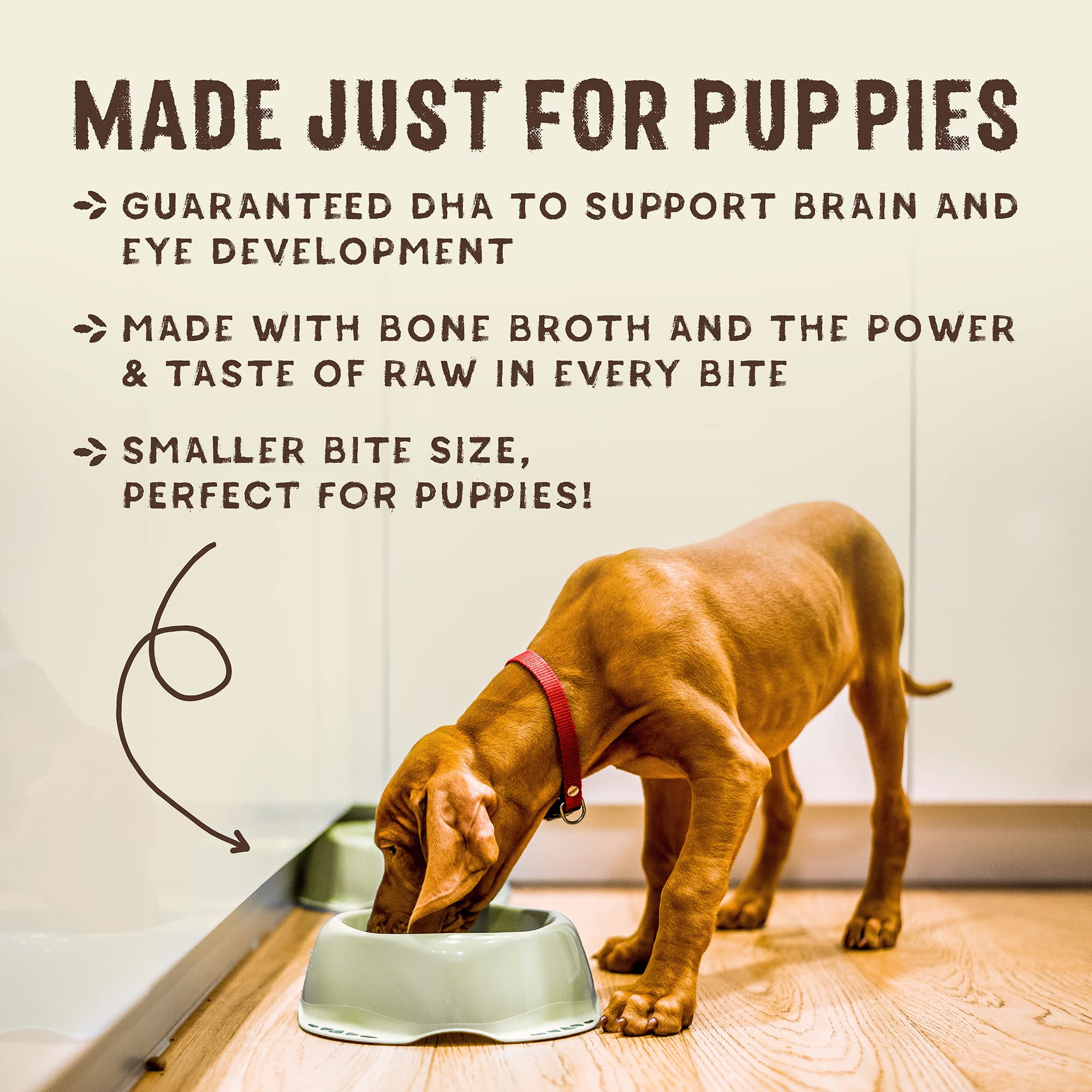 Stella & Chewy's SuperBlends mezcla-proteica-adicional: refuerzo proteico para músculos fuertes.