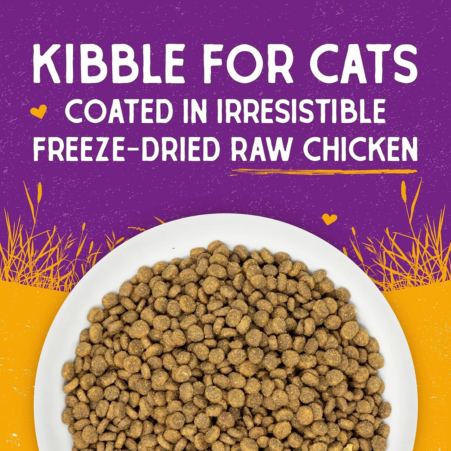 Stella & Chewy's taurine – soutien potentiel du cœur des chats.